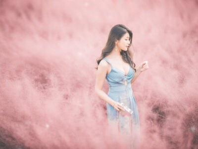 50502720822_574cca374a_6k